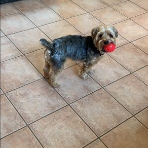 Meet your Posher, Sony